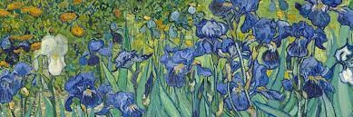 irises
